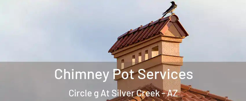 Chimney Pot Services Circle g At Silver Creek - AZ