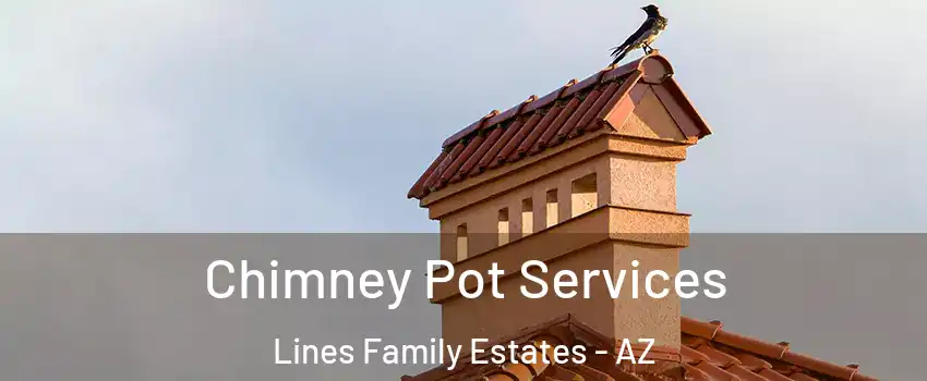 Chimney Pot Services Lines Family Estates - AZ