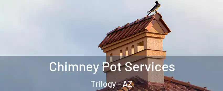 Chimney Pot Services Trilogy - AZ