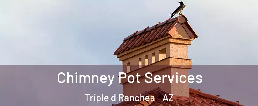 Chimney Pot Services Triple d Ranches - AZ