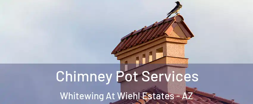 Chimney Pot Services Whitewing At Wiehl Estates - AZ