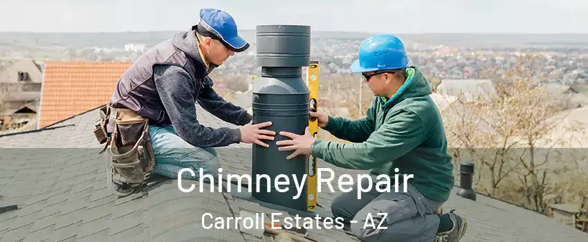 Chimney Repair Carroll Estates - AZ
