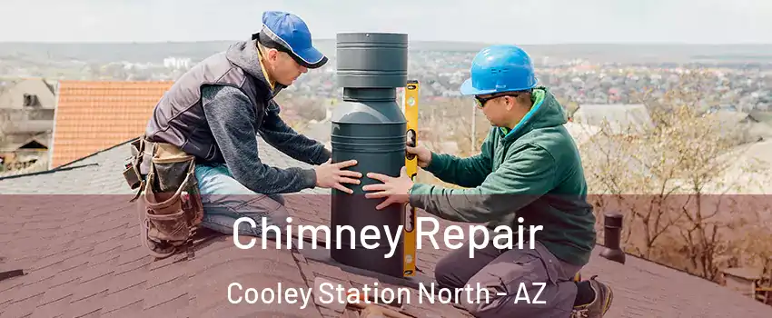 Chimney Repair Cooley Station North - AZ