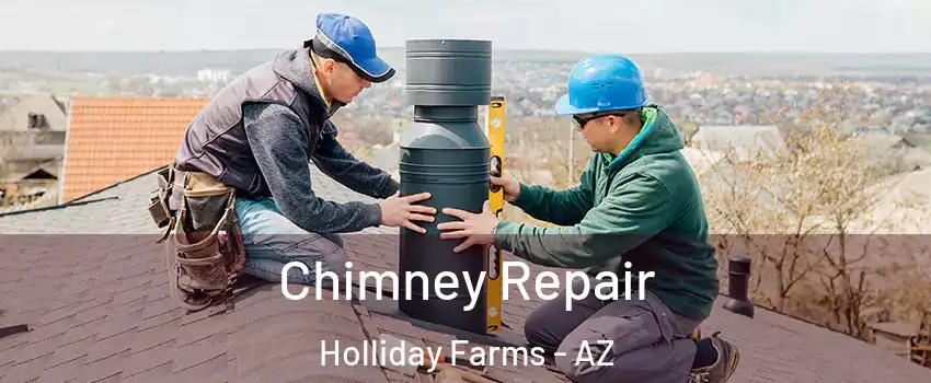 Chimney Repair Holliday Farms - AZ