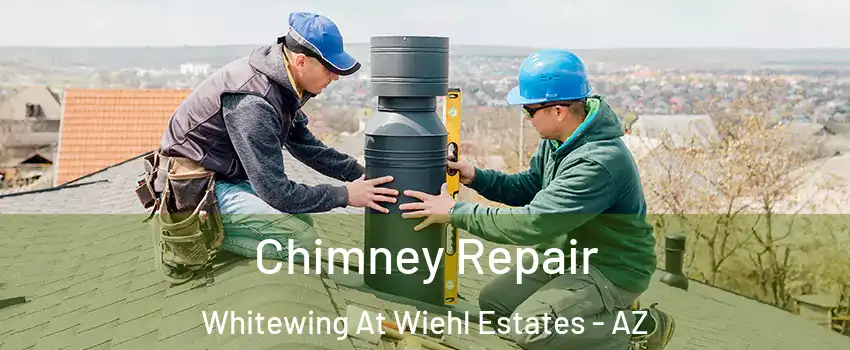 Chimney Repair Whitewing At Wiehl Estates - AZ