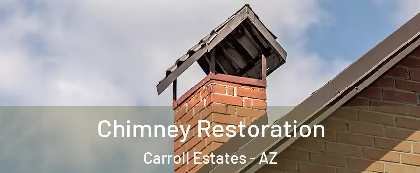 Chimney Restoration Carroll Estates - AZ