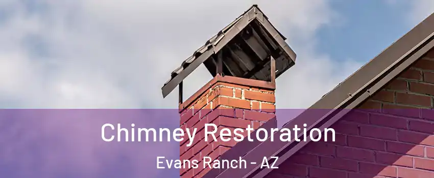 Chimney Restoration Evans Ranch - AZ