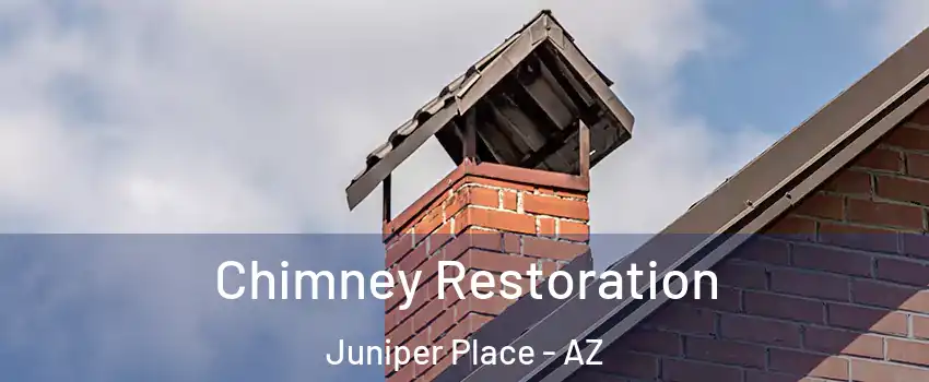 Chimney Restoration Juniper Place - AZ