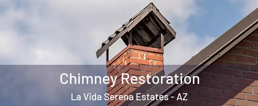 Chimney Restoration La Vida Serena Estates - AZ