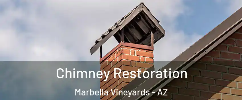 Chimney Restoration Marbella Vineyards - AZ