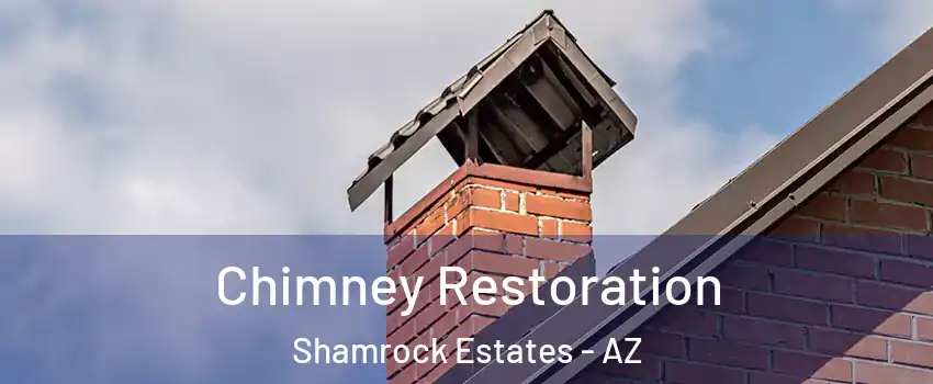 Chimney Restoration Shamrock Estates - AZ