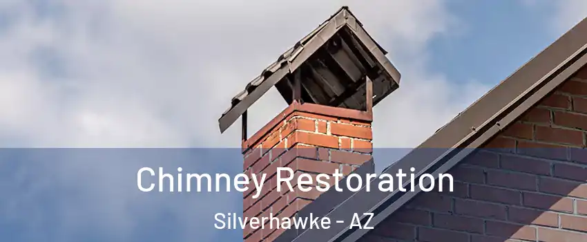 Chimney Restoration Silverhawke - AZ