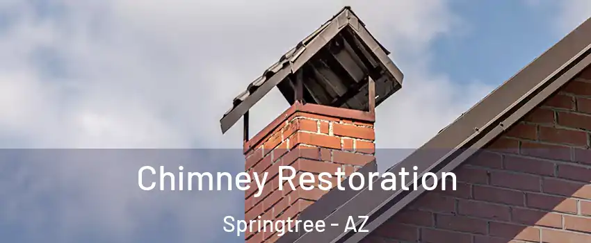 Chimney Restoration Springtree - AZ