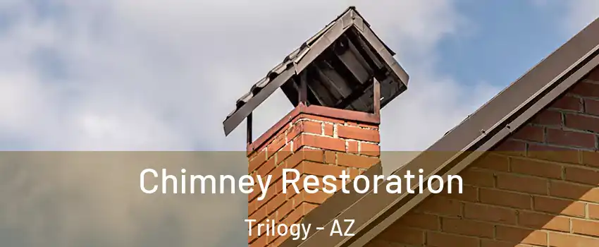 Chimney Restoration Trilogy - AZ