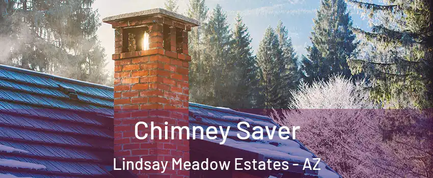 Chimney Saver Lindsay Meadow Estates - AZ