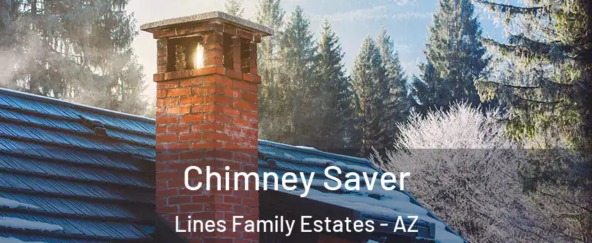 Chimney Saver Lines Family Estates - AZ