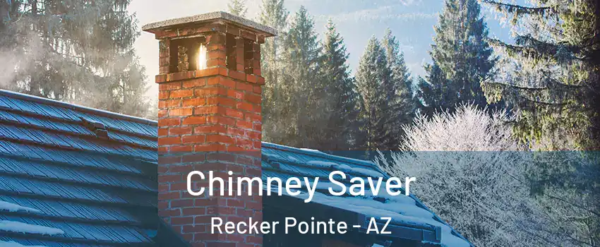 Chimney Saver Recker Pointe - AZ