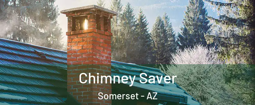 Chimney Saver Somerset - AZ