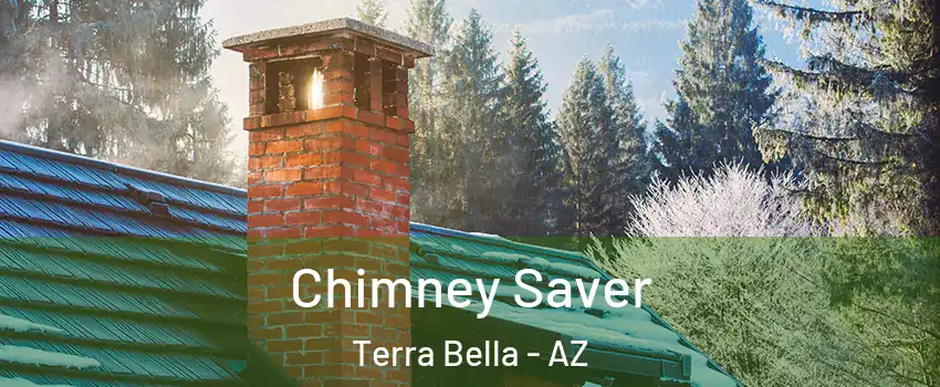 Chimney Saver Terra Bella - AZ