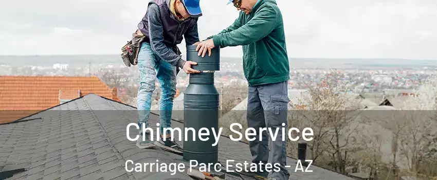 Chimney Service Carriage Parc Estates - AZ