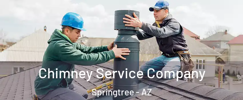 Chimney Service Company Springtree - AZ