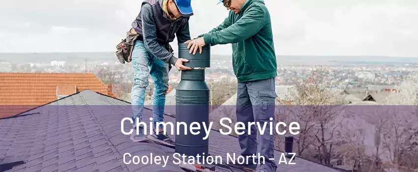 Chimney Service Cooley Station North - AZ
