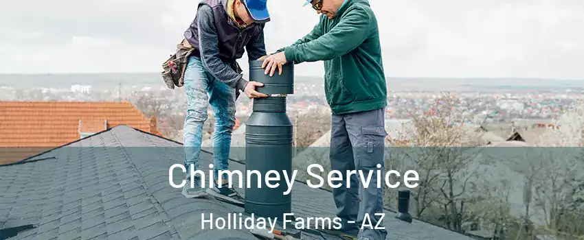 Chimney Service Holliday Farms - AZ