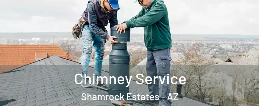 Chimney Service Shamrock Estates - AZ