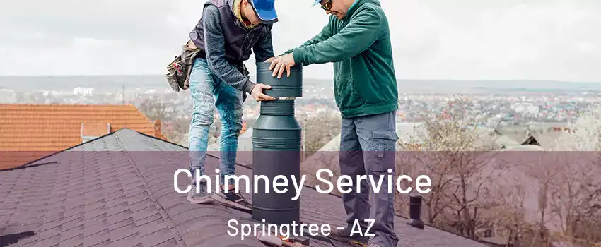 Chimney Service Springtree - AZ