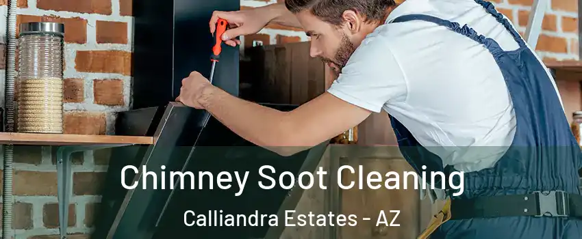 Chimney Soot Cleaning Calliandra Estates - AZ
