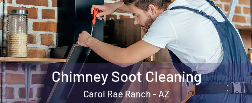 Chimney Soot Cleaning Carol Rae Ranch - AZ