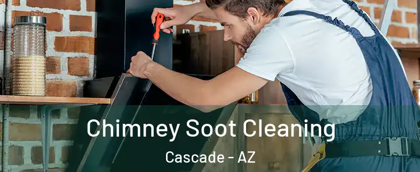 Chimney Soot Cleaning Cascade - AZ