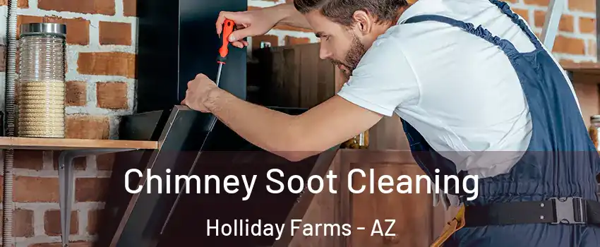 Chimney Soot Cleaning Holliday Farms - AZ