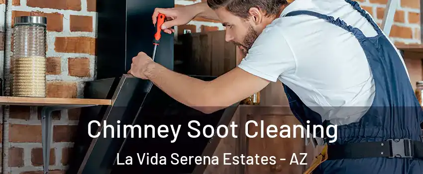 Chimney Soot Cleaning La Vida Serena Estates - AZ
