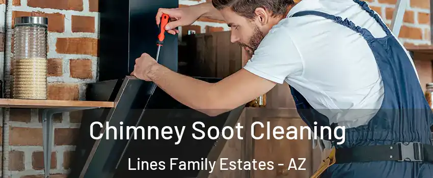 Chimney Soot Cleaning Lines Family Estates - AZ