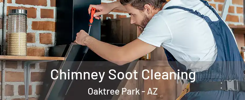 Chimney Soot Cleaning Oaktree Park - AZ