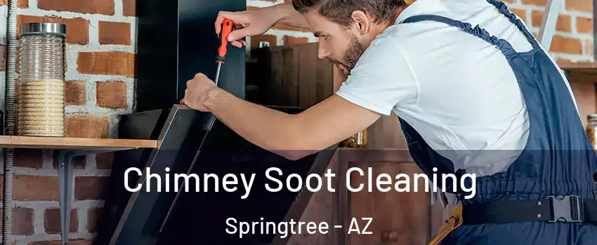 Chimney Soot Cleaning Springtree - AZ