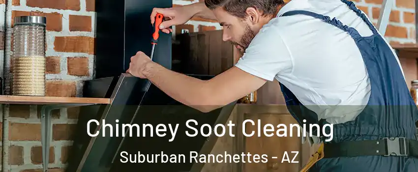 Chimney Soot Cleaning Suburban Ranchettes - AZ