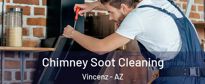 Chimney Soot Cleaning Vincenz - AZ