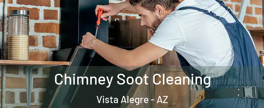 Chimney Soot Cleaning Vista Alegre - AZ