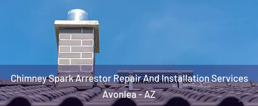 Chimney Spark Arrestor Repair And Installation Services Avonlea - AZ