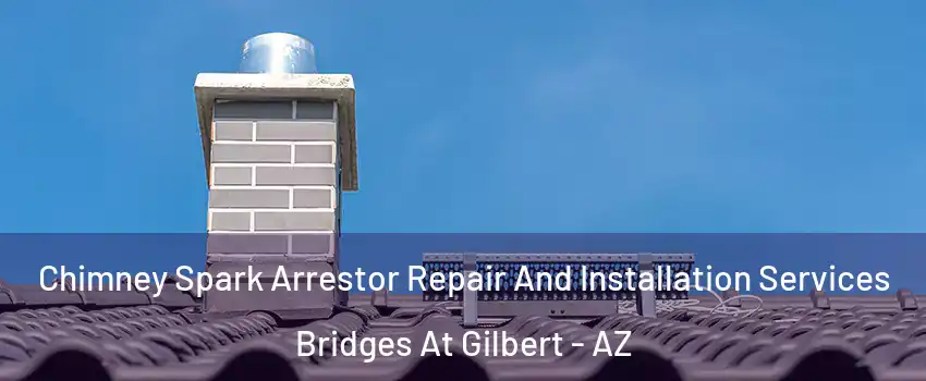 Chimney Spark Arrestor Repair And Installation Services Bridges At Gilbert - AZ