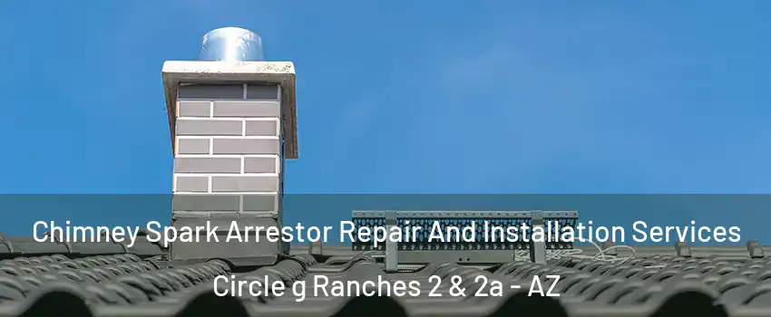 Chimney Spark Arrestor Repair And Installation Services Circle g Ranches 2 & 2a - AZ