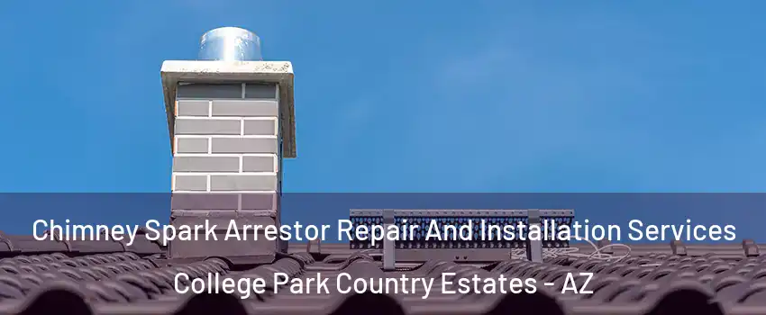 Chimney Spark Arrestor Repair And Installation Services College Park Country Estates - AZ