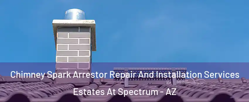 Chimney Spark Arrestor Repair And Installation Services Estates At Spectrum - AZ