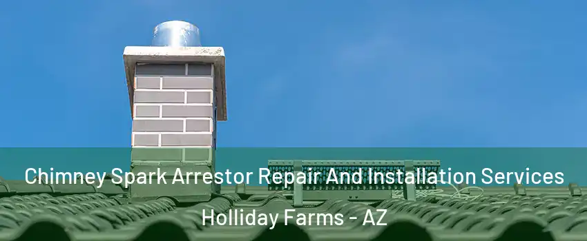Chimney Spark Arrestor Repair And Installation Services Holliday Farms - AZ