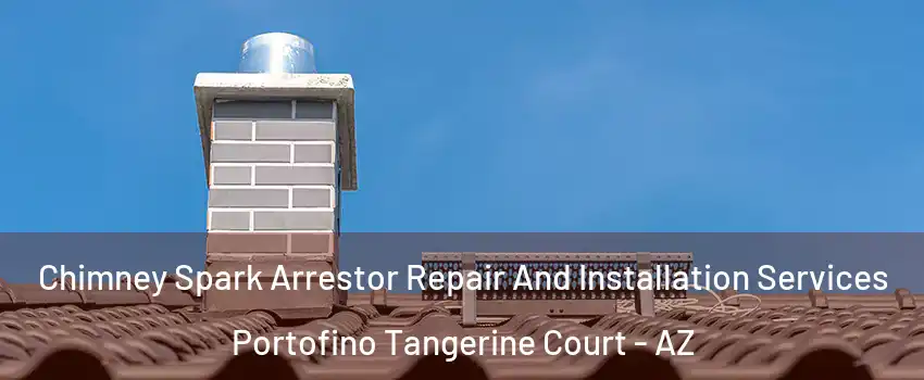 Chimney Spark Arrestor Repair And Installation Services Portofino Tangerine Court - AZ
