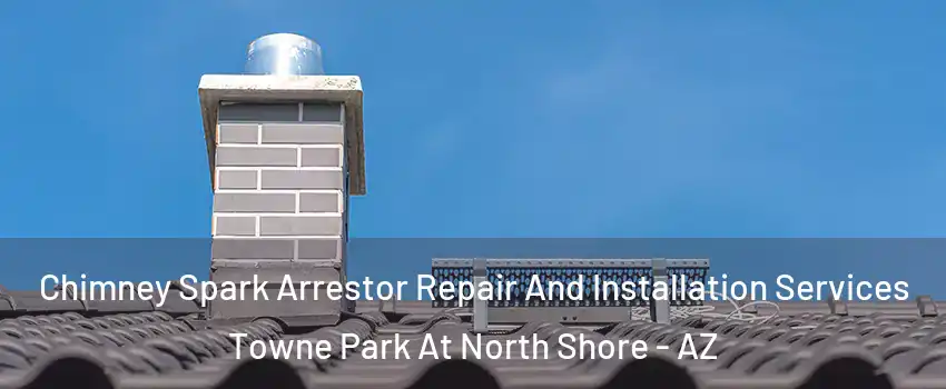 Chimney Spark Arrestor Repair And Installation Services Towne Park At North Shore - AZ