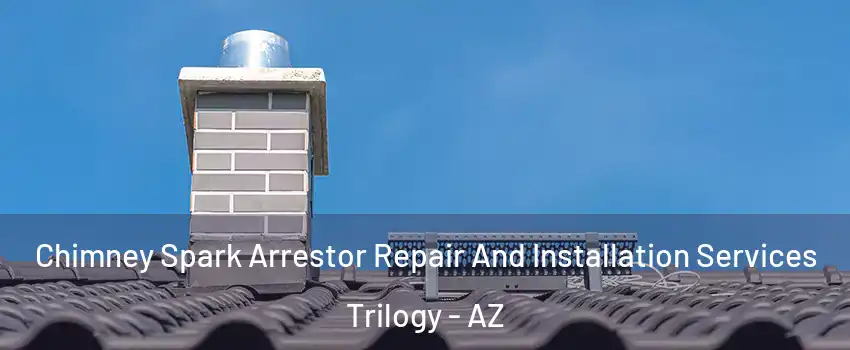 Chimney Spark Arrestor Repair And Installation Services Trilogy - AZ