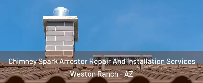 Chimney Spark Arrestor Repair And Installation Services Weston Ranch - AZ